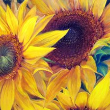 Схема вышивки «Girassóis»