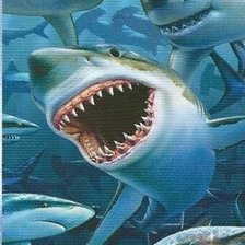 Схема вышивки «акулы»