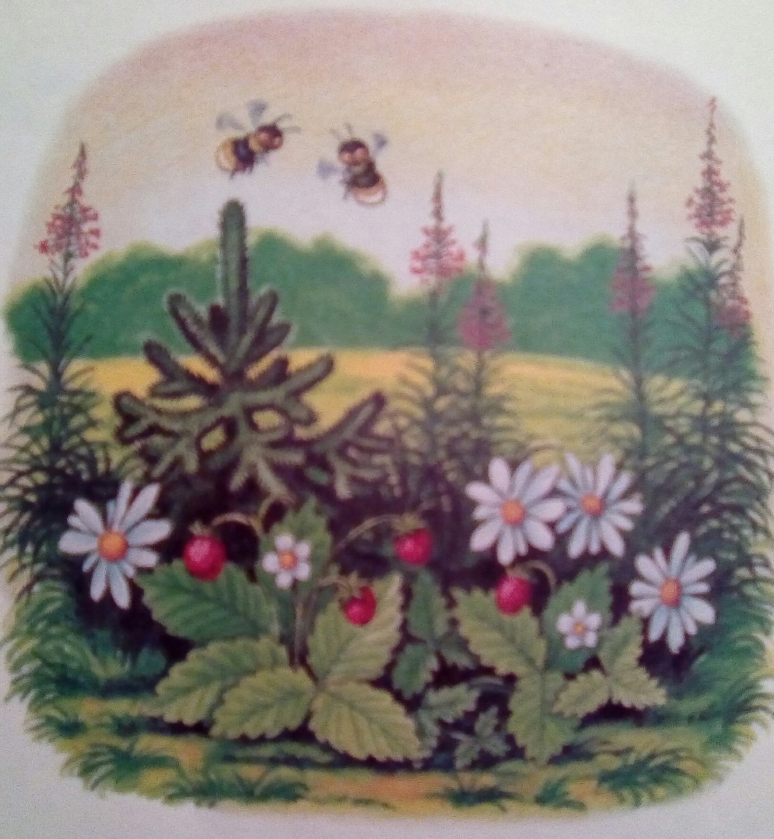 тайга - тайга - оригинал