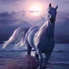 Схема вышивки «Прогулка под луной»