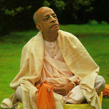 Схема вышивки «Прабхупада 5»