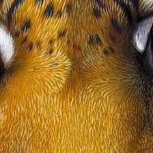 Схема вышивки «№2329066»