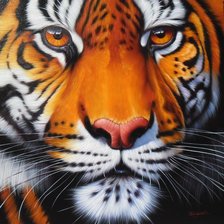 Схема вышивки «№2329085»