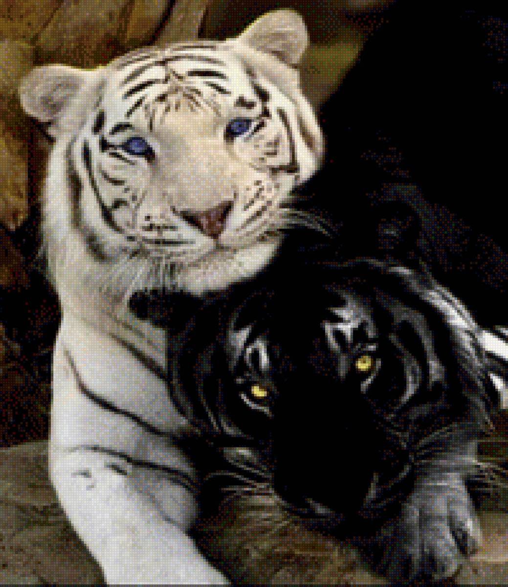 пара тигров черного и белого цвета - предпросмотр