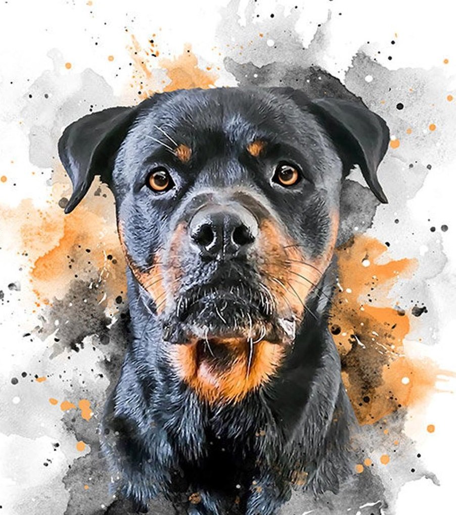 Cão. - animais.pintura. - оригинал