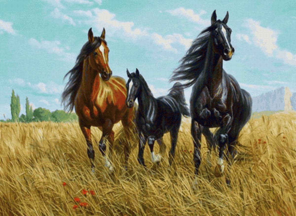 Cavalos. - animais.campo. - предпросмотр