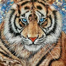 Схема вышивки «Tigre.»