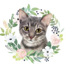 Схема вышивки «Gato.»