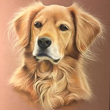 Схема вышивки «собака»