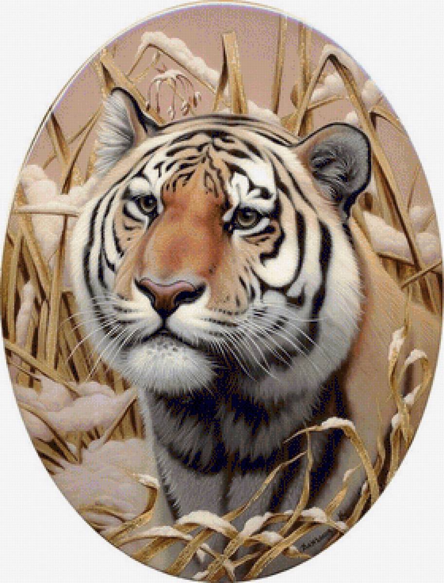 animale - предпросмотр