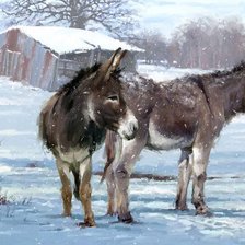 Схема вышивки «Ases»