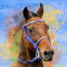 Схема вышивки «Cavalo.»