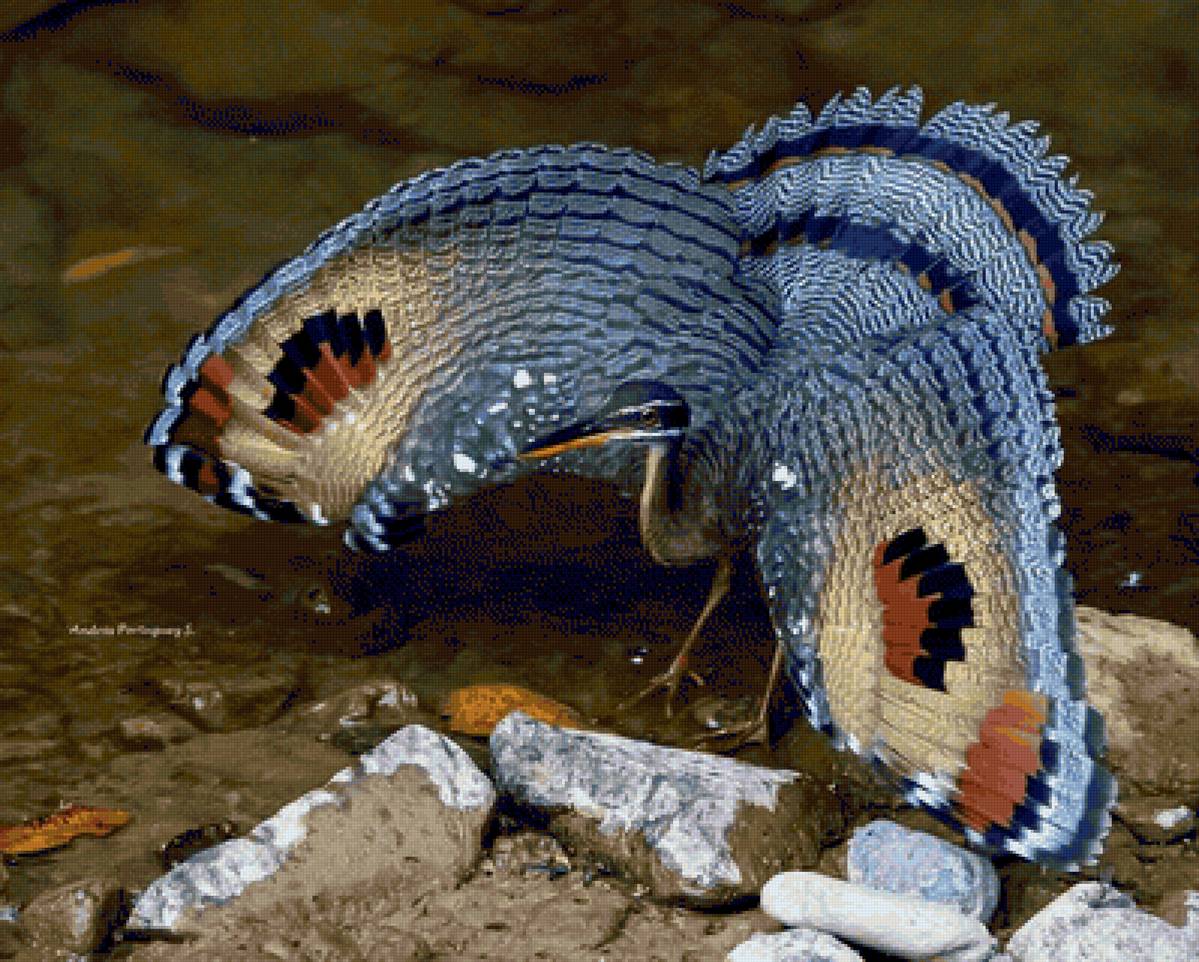 AVE - naturaleza - предпросмотр