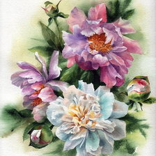 Схема вышивки «Пионы»