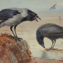 Схема вышивки «серая ворона и черный ворон»