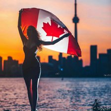 Схема вышивки «канада»