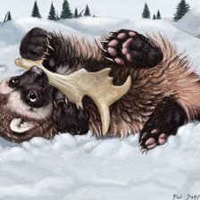 Схема вышивки «Росомаха»