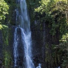 Схема вышивки «№2331309»