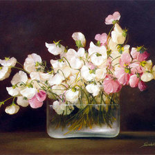 Душистый горошек