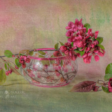 Схема вышивки «№2331433»