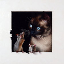Кот и мышки