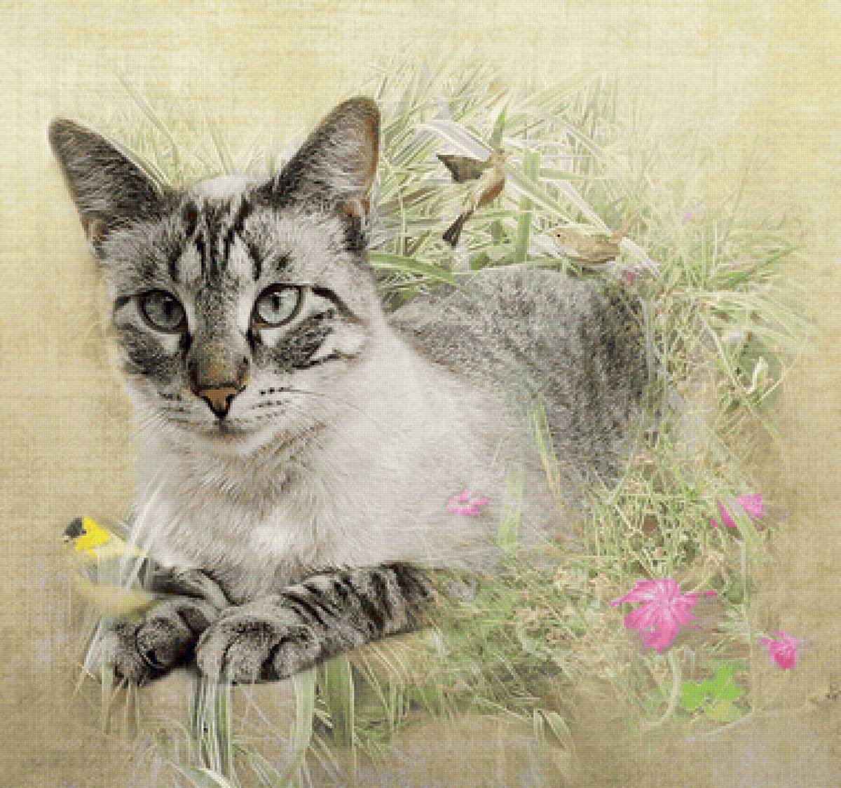 Gato. - animais. pássaros .ilustração. - предпросмотр