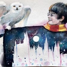 Схема вышивки «гарри поттер»