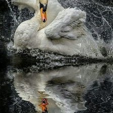 Схема вышивки «В ночных брызгах»