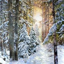 Схема вышивки «Зимний лес»