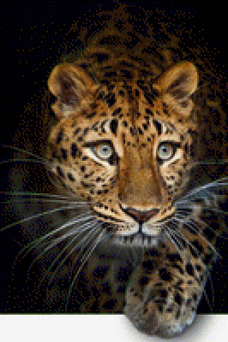 tigr - предпросмотр