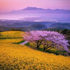 Схема вышивки «№2332573»