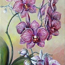 Схема вышивки «Орхидея»