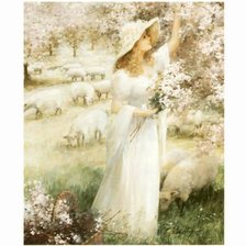 apple tree with lace