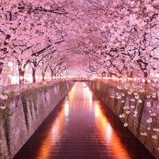 Схема вышивки «Япония»