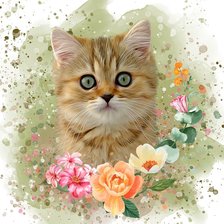 Схема вышивки «Gato.»