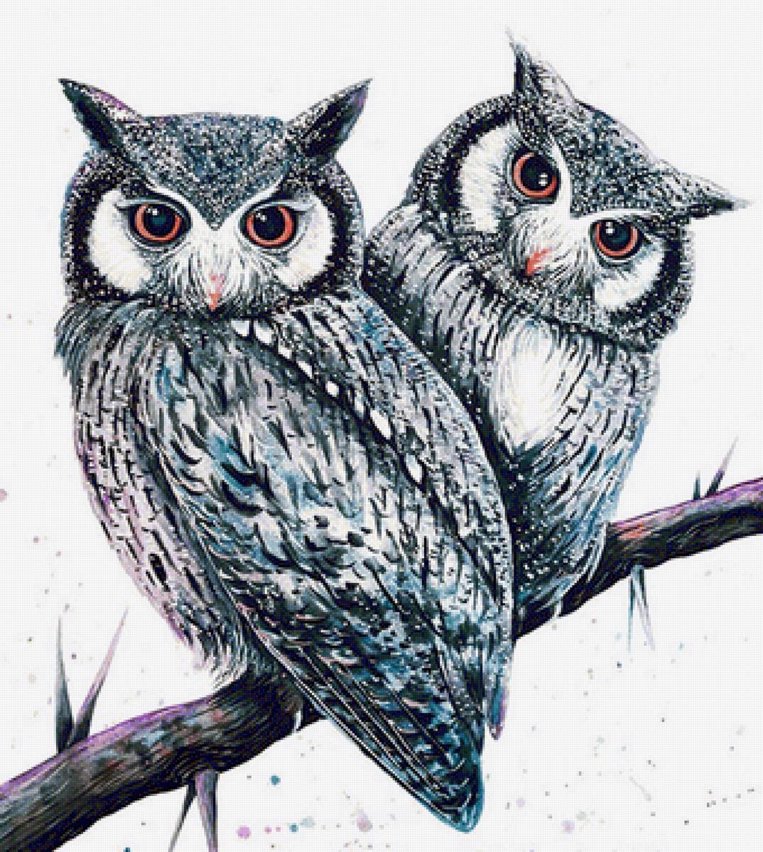 Casal de corujas. - pássaro, pintura. - предпросмотр