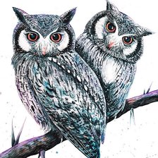 Схема вышивки «Casal de corujas.»