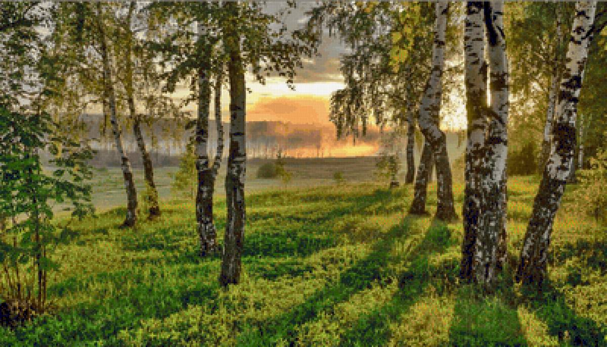 Paisagem. - floresta.paisagens. - предпросмотр