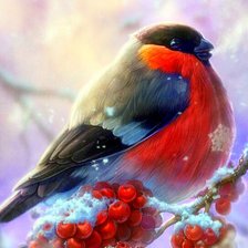 Схема вышивки «Снегирь»