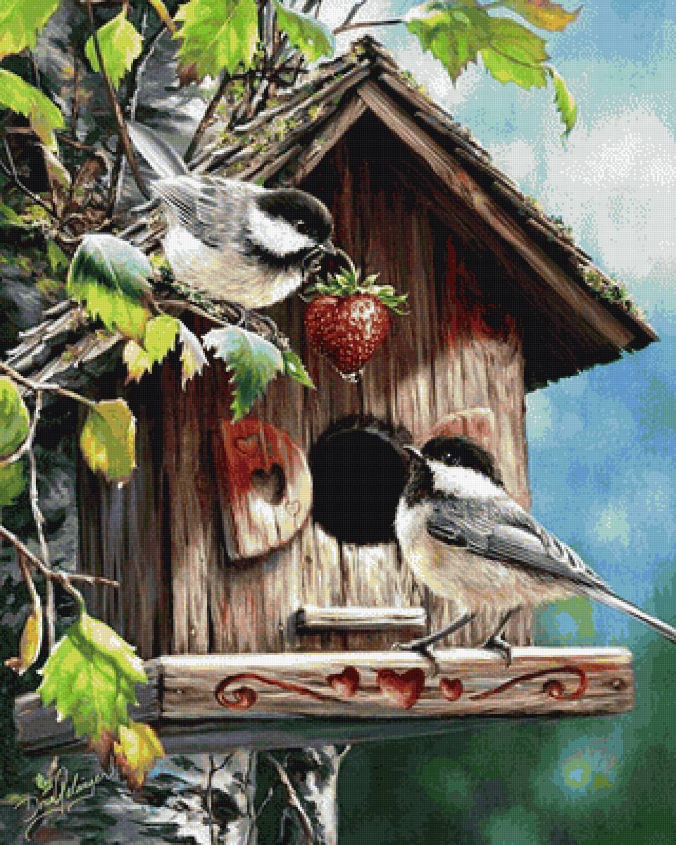 Синицы - птицы, птица - предпросмотр