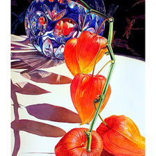 Схема вышивки «Физалис и стрекозы.»