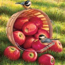 Схема вышивки «Яблоки»