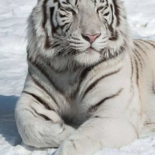 Схема вышивки «El rey»