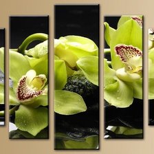 Схема вышивки «№2334050»