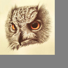 Схема вышивки «Серия "Птицы".»