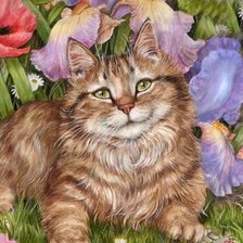 Схема вышивки «Gato.»