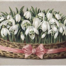 Подснежники