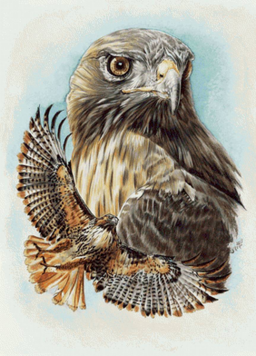 №2334514 - рисунок - предпросмотр