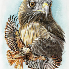 Схема вышивки «№2334514»