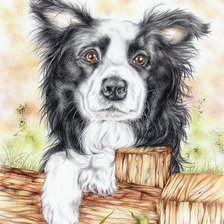 Схема вышивки «№2334515»